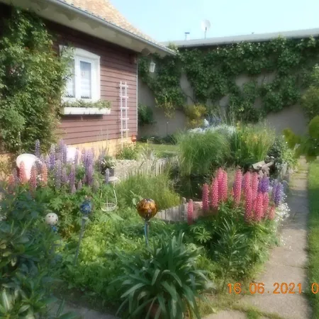 Dankerode *