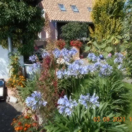 Dankerode * Dankerode (Saxony-Anhalt)